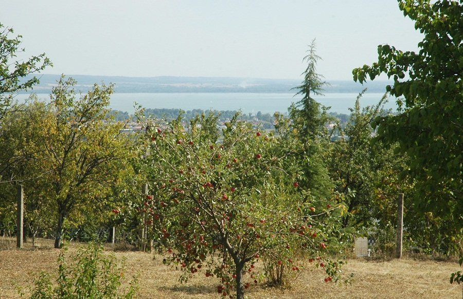 Mit Panoramablick auf den Balaton